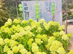 -山也·私厨(岳麓店)