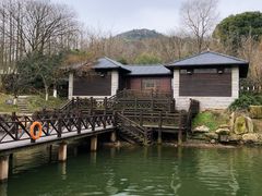 -白马涧龙池景区