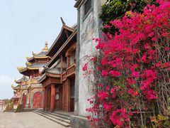 -海花岛旅游度假区