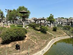 -石家庄市动物园