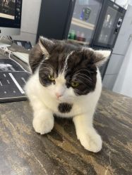 -塞巴斯汀SEBASTIAN专业美发店