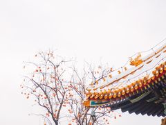 -雍和宫