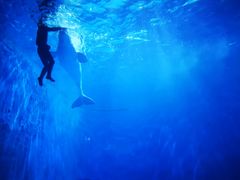 -多彩贵州城极地海洋世界