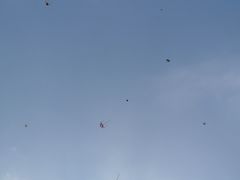 -蠡湖大桥公园