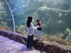 -华夏文旅海洋公园