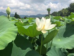 -古田会议纪念馆