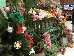 -BoBloom花店(晶耀前滩店)