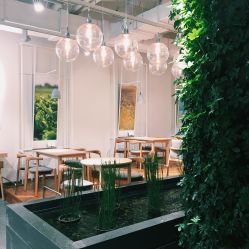 -悦诗风吟innisfree