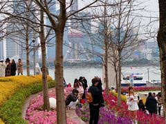 -北外滩滨江绿地