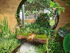 -深圳仙湖植物园