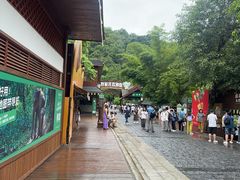-野象谷景区