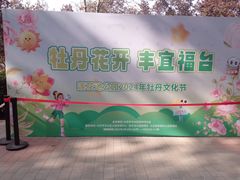 -莲花池公园