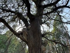 -锦屏山旅游度假区
