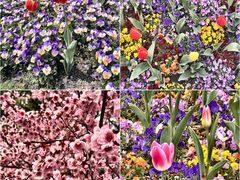 -宁波儿童公园(鄞州区)