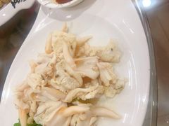 辣根鸟贝-春来酒家