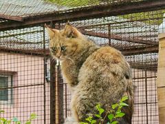 -青藏高原野生动物园