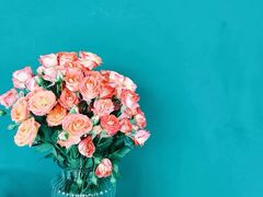 -三圣花乡旅游区