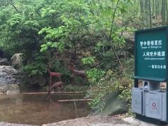 -众神白水涧景区