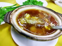 鱼翅-义福巷鱼翅燕窝