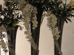 -裕龙汤泉
