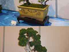 -昆明滇池国际会展中心