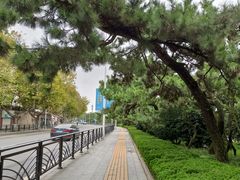 -八大关景区