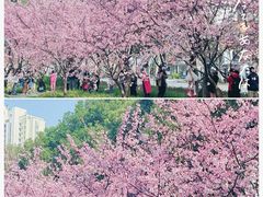 -静安雕塑公园