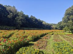 -萨尔浒风景区