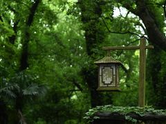 -普陀山风景名胜区-法雨禅寺