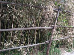 -仁爱团泊湖温泉中心