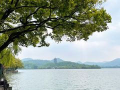 -杭州西湖柳莺里酒店·闻莺厅