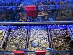-金海湾海鲜排档(朱家尖店)