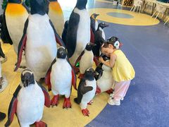 -芜湖新华联大白鲸海洋公园