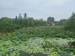 -南湖国家城市湿地公园