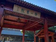 -白洋淀景区