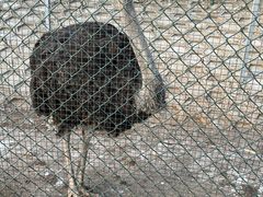 -北京鹿世界主题园