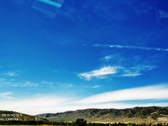 -张金涛熏鸡(人民南路店)