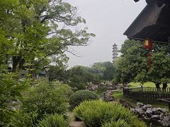 -江心屿景区