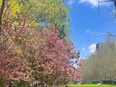 -长白岛森林公园