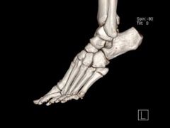 -上海交通大学医学院附属仁济医院(南院)