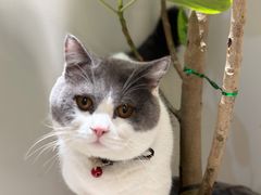 -seeu coffee(江滩店)