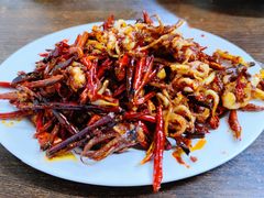 辣炒墨斗爪-西塔隆太白烤牛肉馆(图们路店)