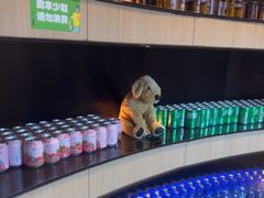 -涨巢·潮玩水疗局