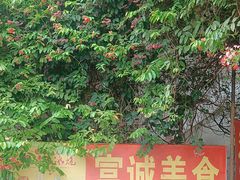 -富诚美食