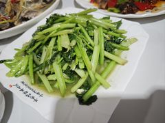 -煲来饱去冷水鱼