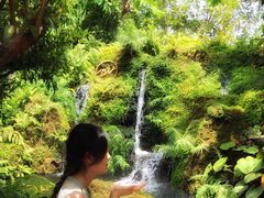 -Chom Cafe and Restaurant