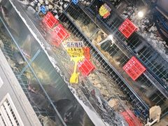 -大胡子海鲜·天津菜·砂锅烧烤(五大道创始店)