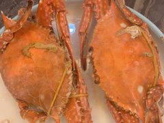 -四海蒸鲜蒸汽海鲜自助(北戴河店)