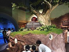 -厦门诚毅自然探索馆