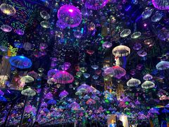 -梵高星空艺术馆(北京旗舰店)